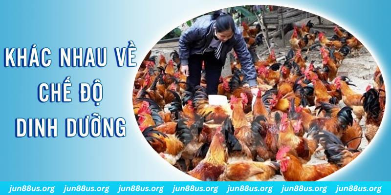 ev8 xổ số thứ sáu hàng tuần