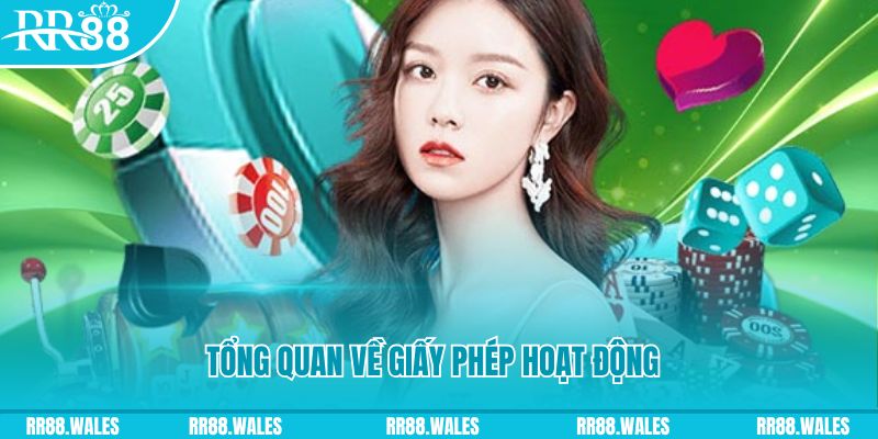 ev8 kết quả xổ số kiến thiết miền bắc