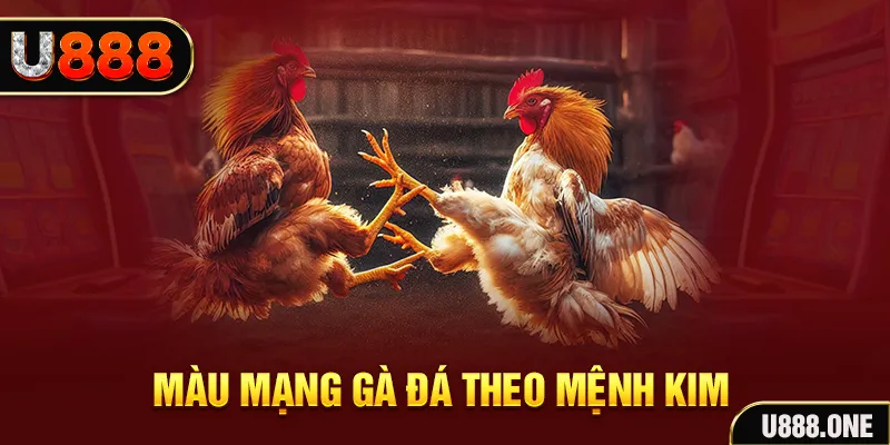 ev8 gà chọi tiêu phong
