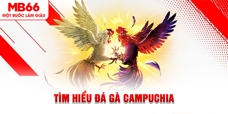 ev8 tại sao không tải được nổ hũ