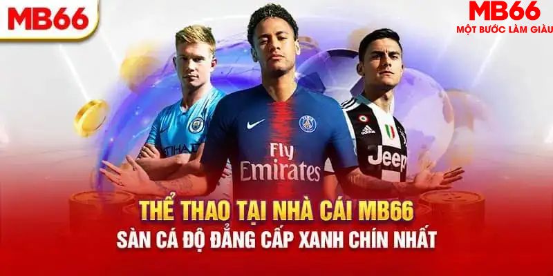 ev8 HB Điện Tử