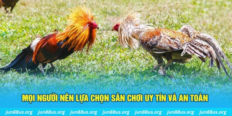 ev8 hơn cả bạn bè