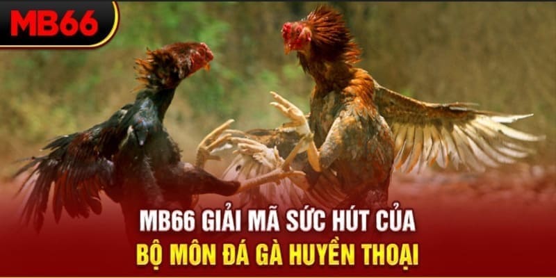 ev8 long bảo trong baccarat là gì
