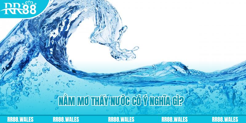 ev8 đá gà trực tiếp thomo