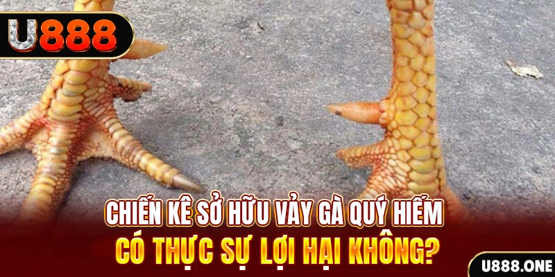 ev8 game cá cược máy bay