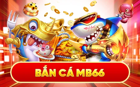 ev8 Cỡ bảy