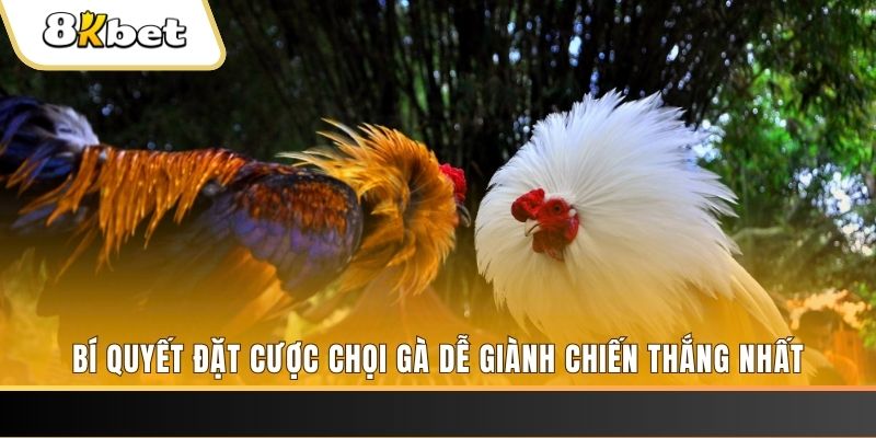 ev8 may club nổ hũ