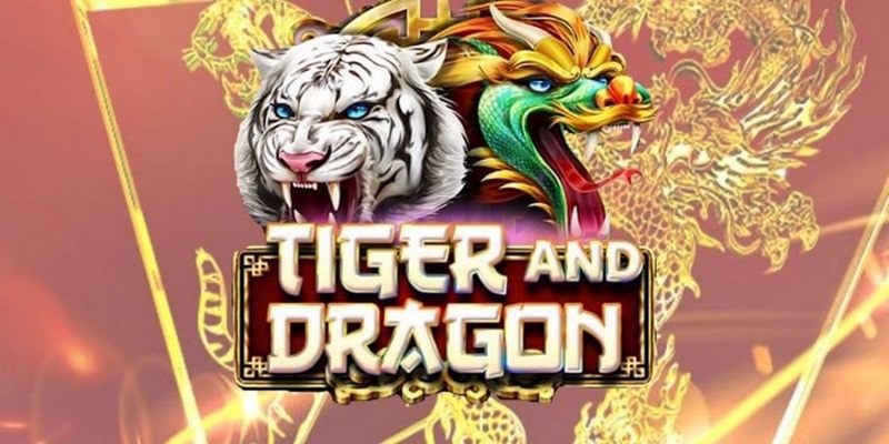 ev8 cá cược tiếng anh là gì